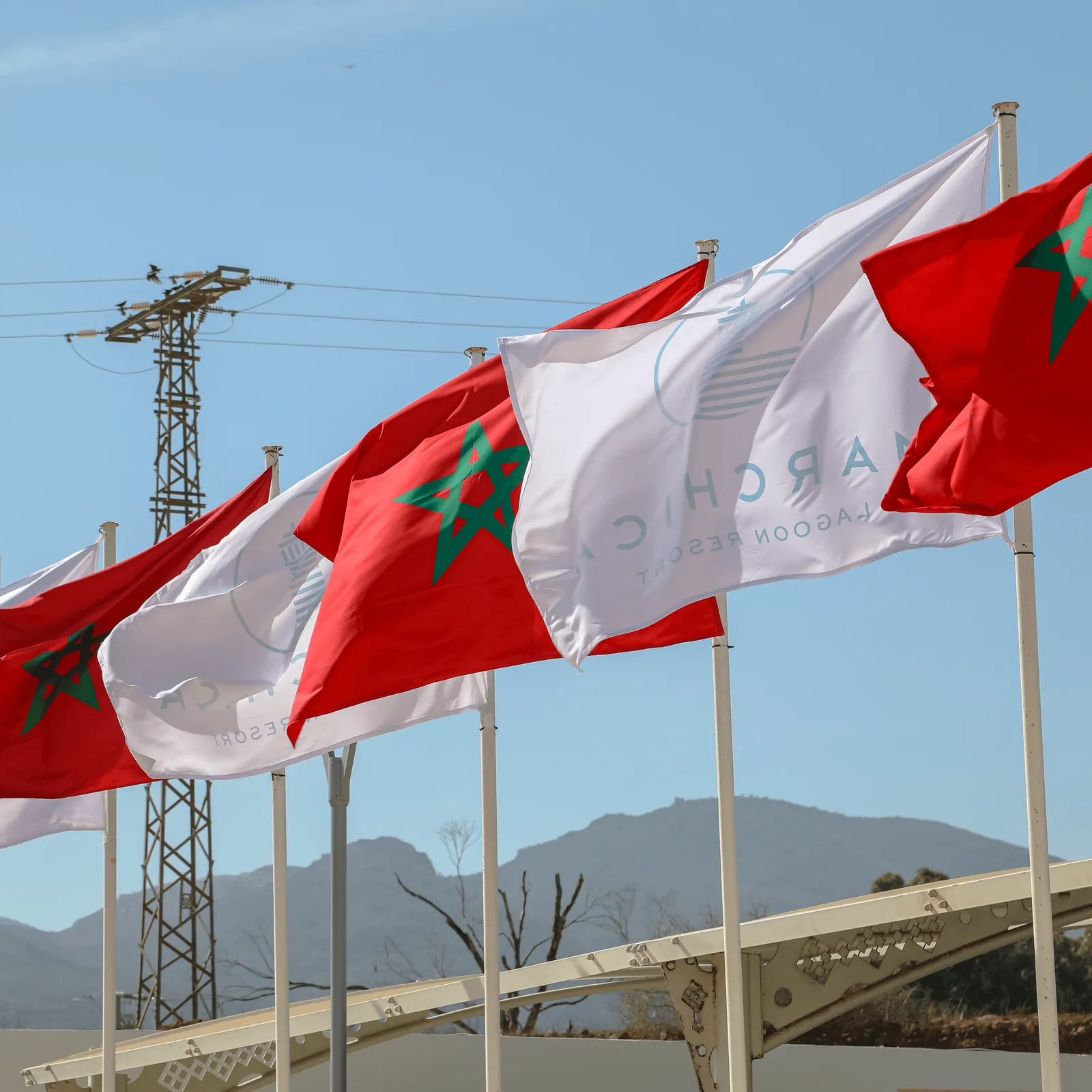 Several Moroccan flags and white banners flutter in the wind in front of a mountainous landscape and power lines.