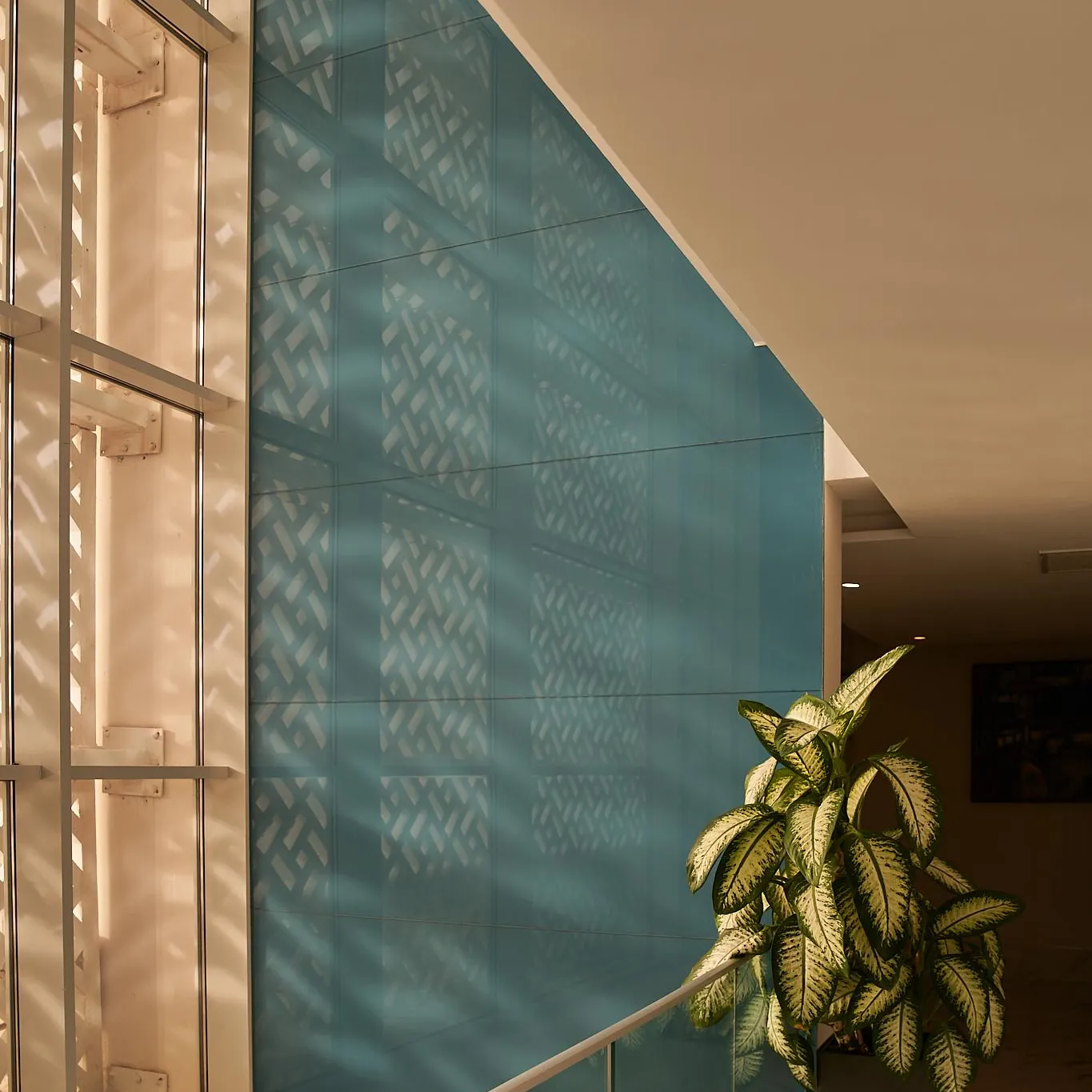 Blue wall with geometric pattern and potted green plant near a railing and a window