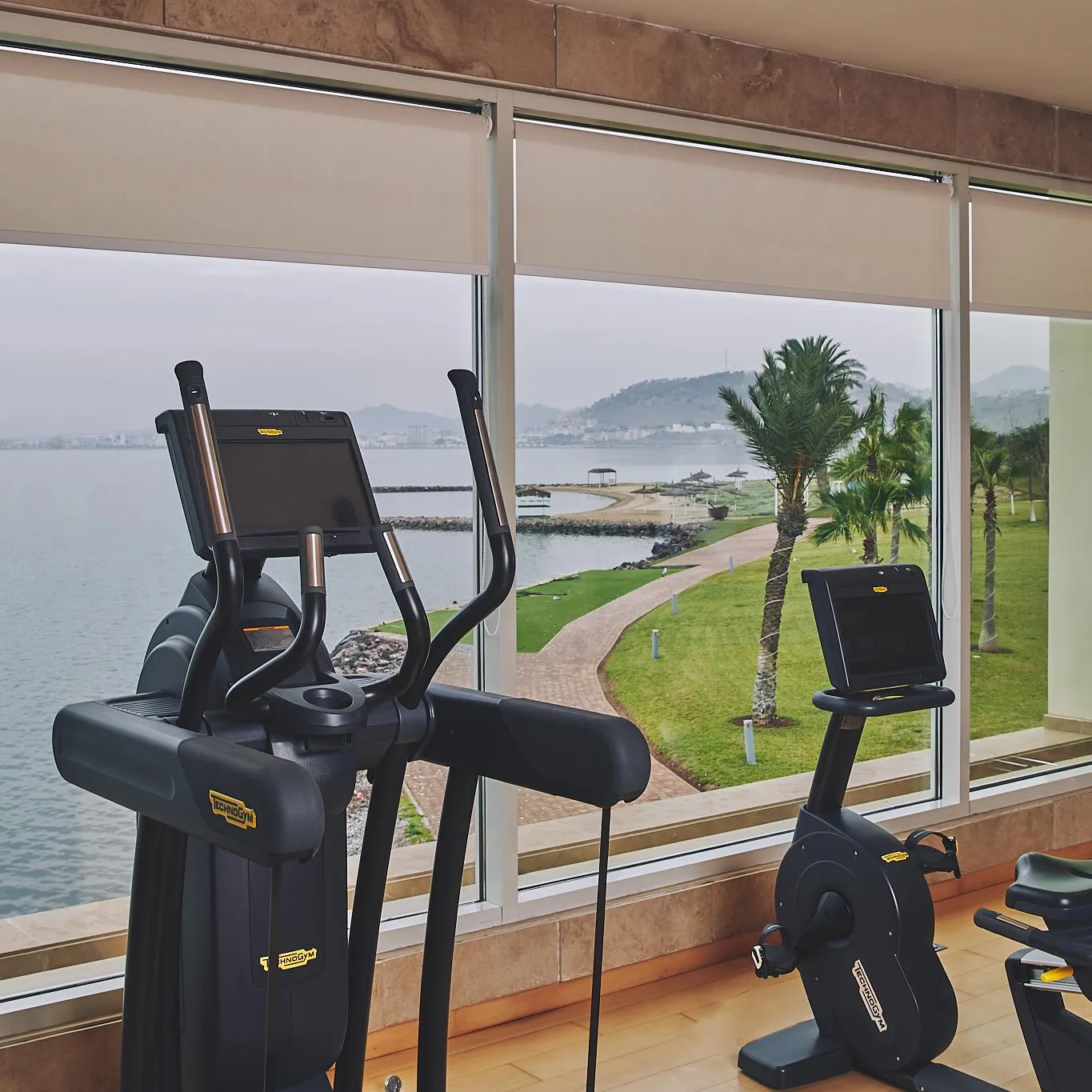 Two fitness machines, an elliptical and an exercise bike, are placed in front of a large window offering a view of a park with palm trees and a body of water.