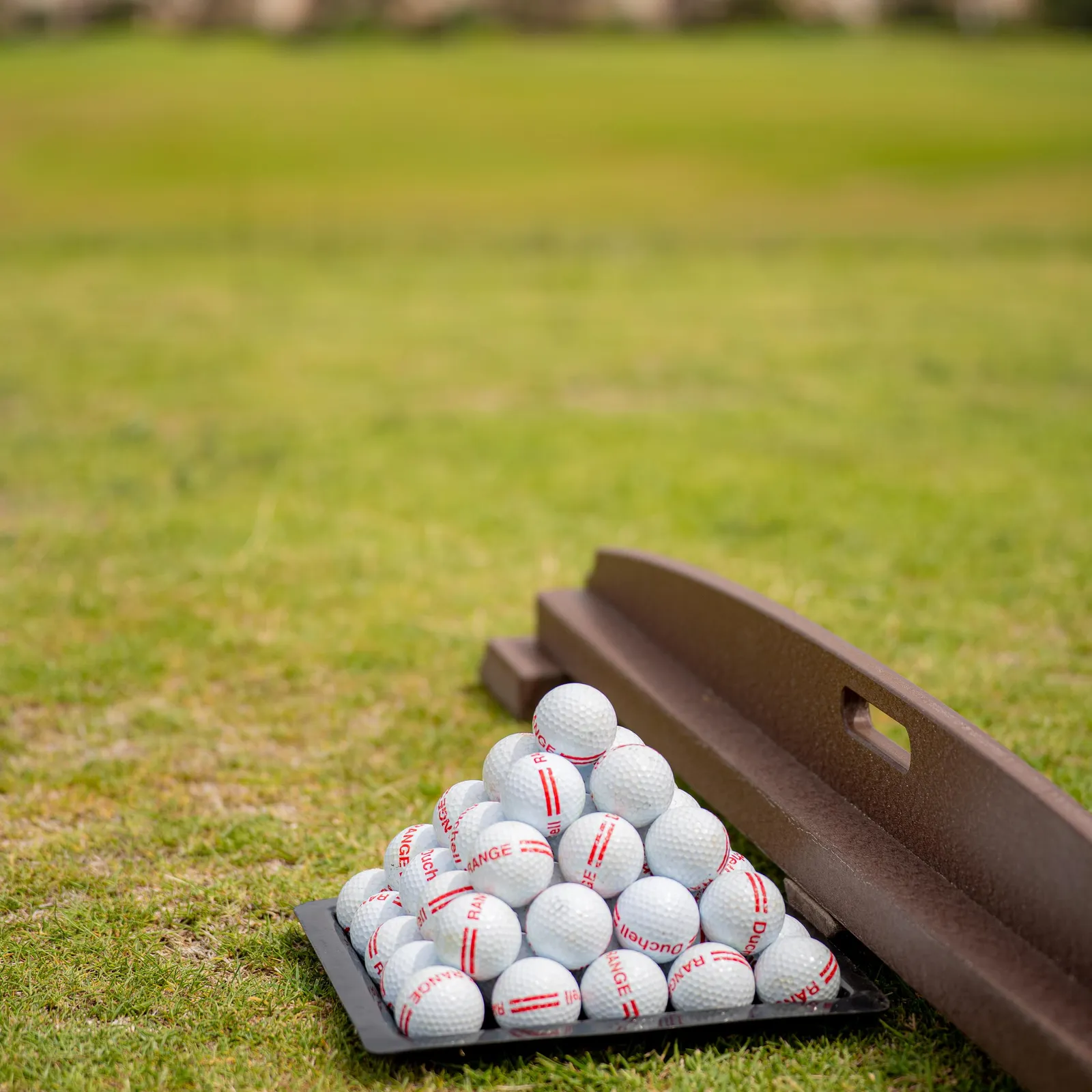 A bucket of white golf balls with red markings is placed on the grass, next to a wooden bench, with sheep in the background.