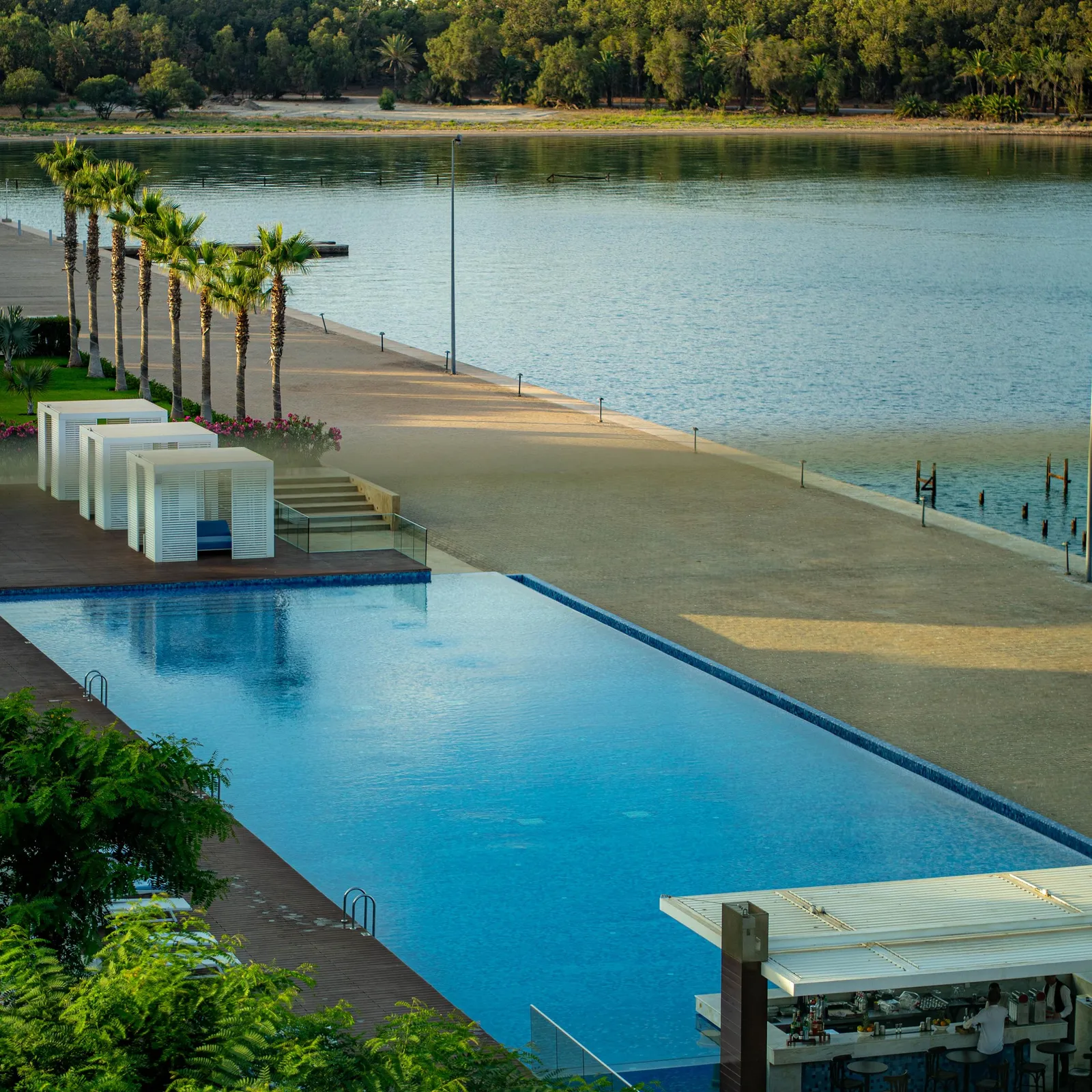 Rectangular swimming pool with a bar and white cabanas, lined with palm trees, facing a lake and a sandy beach