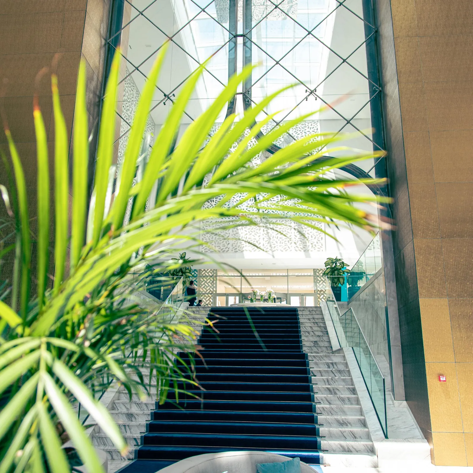Black staircase leading to a bright space with green plants and a gray sofa in the foreground
