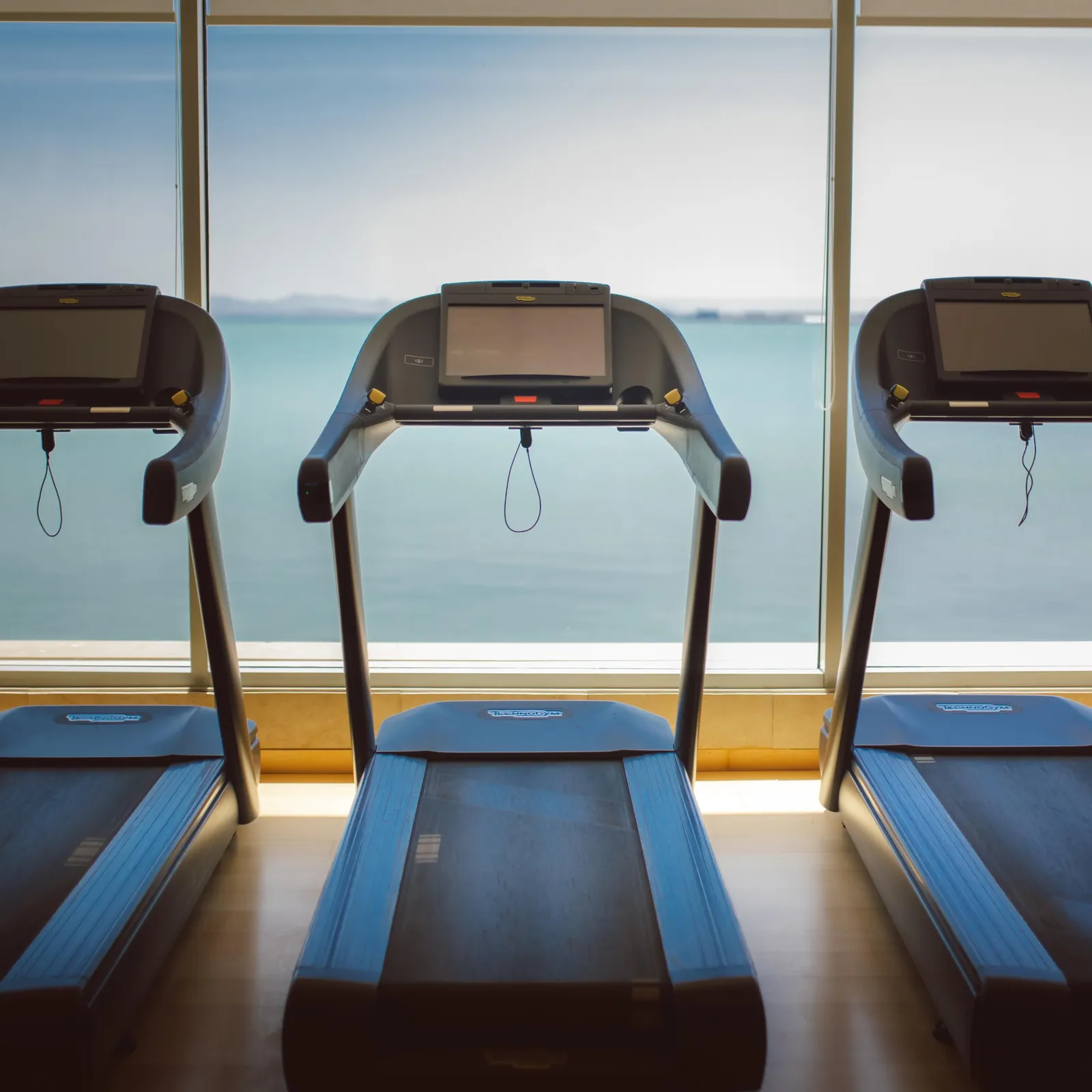Three treadmills lined up in front of a large window offering a view of a body of water