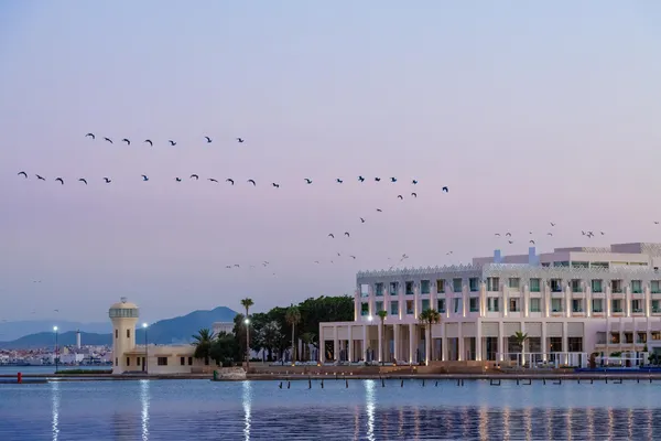 Un groupe d'oiseaux en vol au-dessus d'un bâtiment moderne près d'une étendue d'eau au coucher du soleil